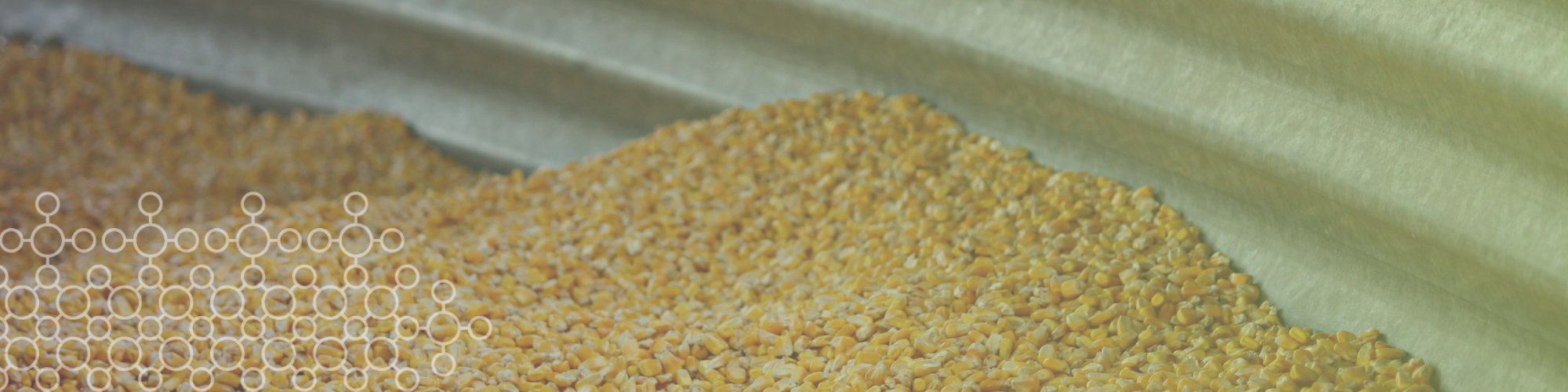 Desafios e oportunidades na utilização de inseticidas no milho armazenado