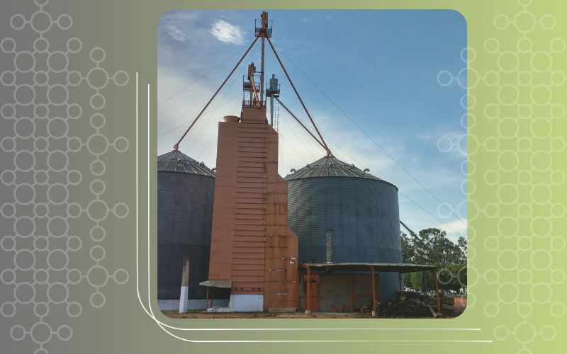 Parâmetros importantes para o monitoramento e controle durante a secagem de grãos